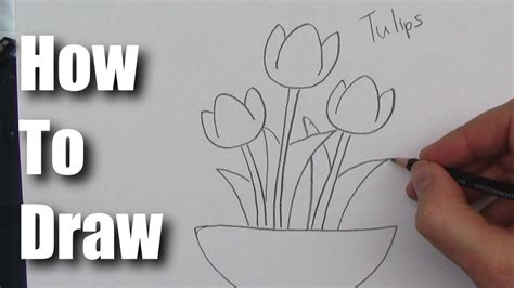 How To Draw A Tulip Flower Step By Step Kids Draw