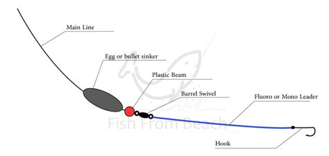 How To Use The Carolina Rig For Surf Fishing Fish From Beach