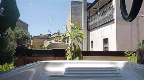 How To Decide Where To Pee Today Gay Amateur Porn Feat Kinky Guy Xhamster