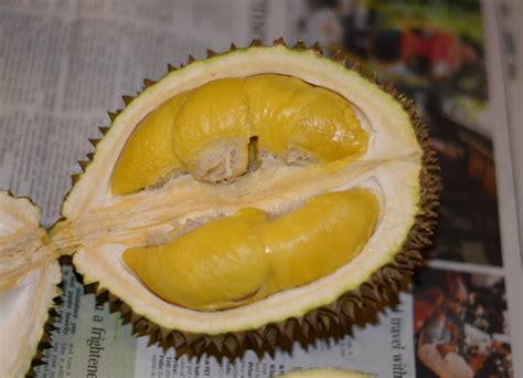 For The Love Of Food Indulge Combat Ing Durians At Combat Durian