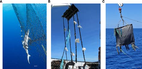 Frontiers Improving Sustainable Practices In Tuna Purse Seine Fish