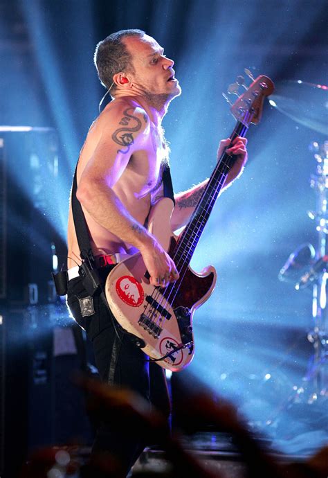 Flea Red Hot Chili Peppers Wiki Fandom