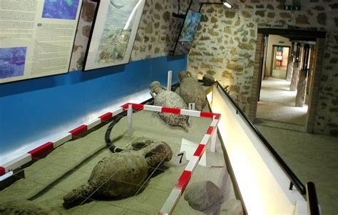 SardegnaCultura Villasimius musée archéologique