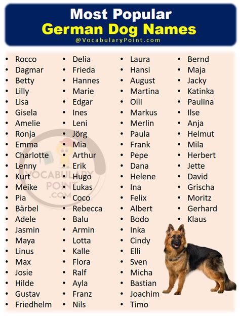 350 Most Popular German Dog Names List