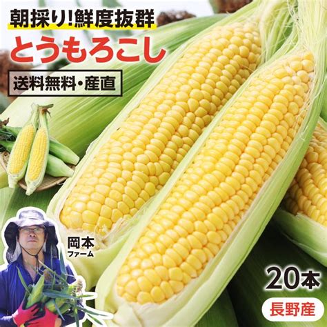 とうもろこし ゴールドラッシュ長野産 20本 2l以上 7kg以上 国産とうもろこし 朝採り当日発送 甘い トウモロコシ 高原野菜