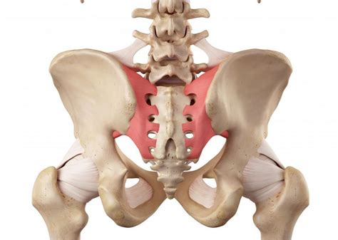 Can Sacroiliac Joint Fusion Bring Me Pain Relief Hui Kang MD Pain