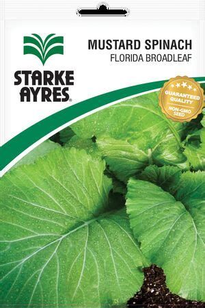 Florida Broadleaf Mustard Spinach Starke Ayres Starke Ayres