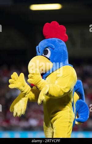 Westerlo Belgium 15th Sep 2023 Westerlo S Players Pictured At The