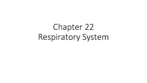 Chapter 22 Respiratory System Function Of The Respiratory