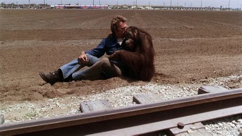 Every Which Way But Loose (1978)