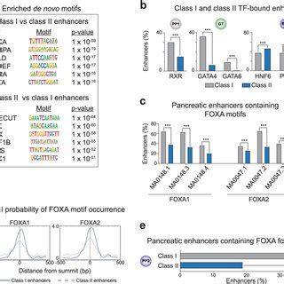 Two Distinct Temporal Patterns Of FOXA1 And FOXA2 Binding To Pancreatic