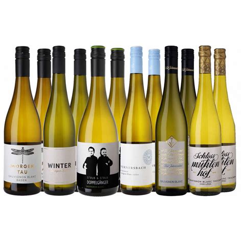 Großes Sauvignon Blanc Entdecker Paket WirWinzer Select