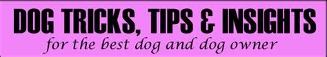 DOG TRICKS, TIPS and INSIGHTS, free obedience training & natural care.