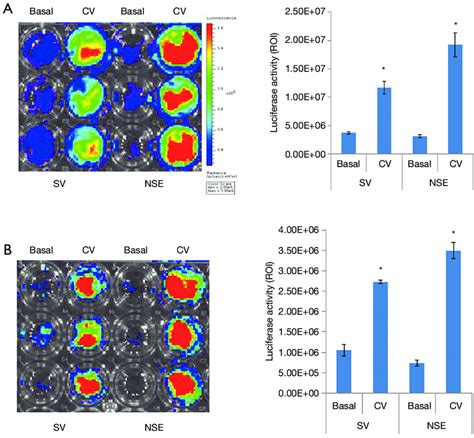 The Combination Of Gsk And An Hdac Inhibitor Also Increases The