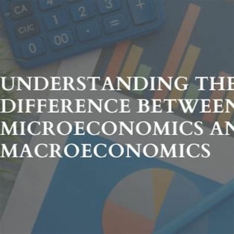 Stream Understanding The Difference Between Microeconomics And