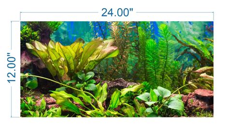 Aquarium Background Planted Aquarium Tropical 2 Vinyl Graphic Adhesive