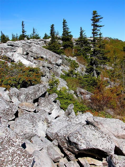 Dolly Sods Wilderness Photograph by Thomas R Fletcher | Pixels