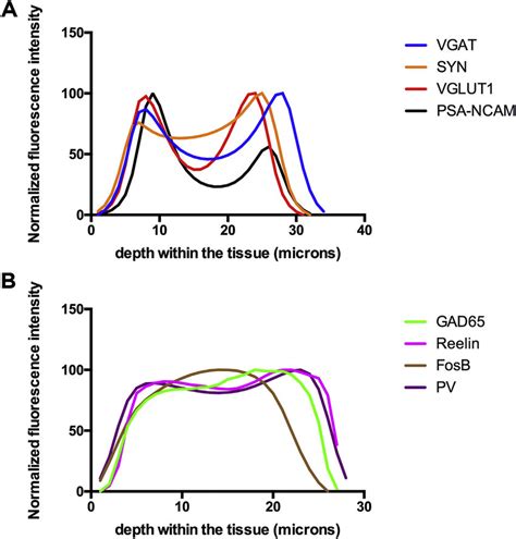 Relationship Between The Fluorescence Intensity Normalized Values And Download Scientific