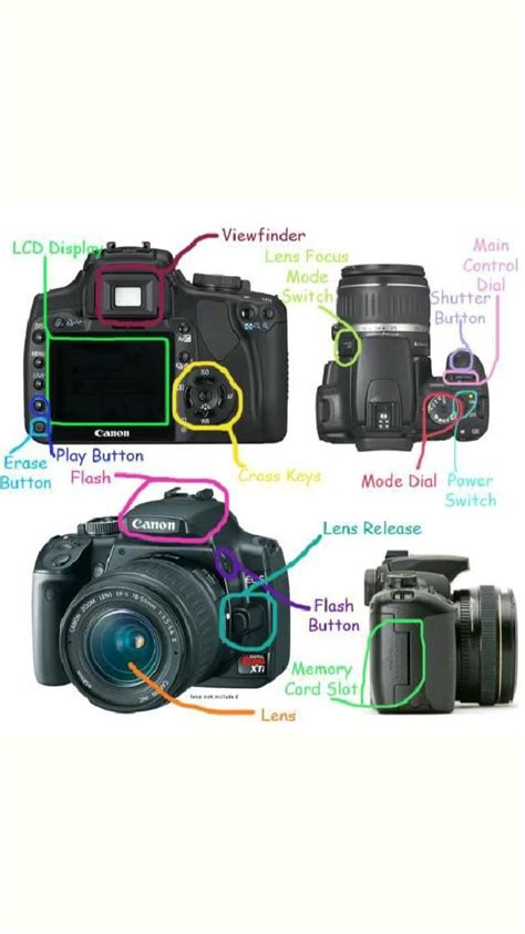 Canon Eos 90d For Dummies Cheat Sheet Artofit