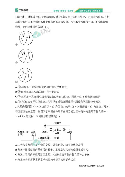 （7）变异、育种和进化——2024届高考生物一轮复习经典试题集中训练正确云资源