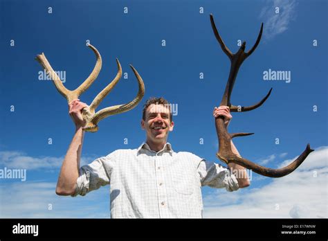 Antlers From An Extinct Deer Revealed By Storm Damage On Walney Island