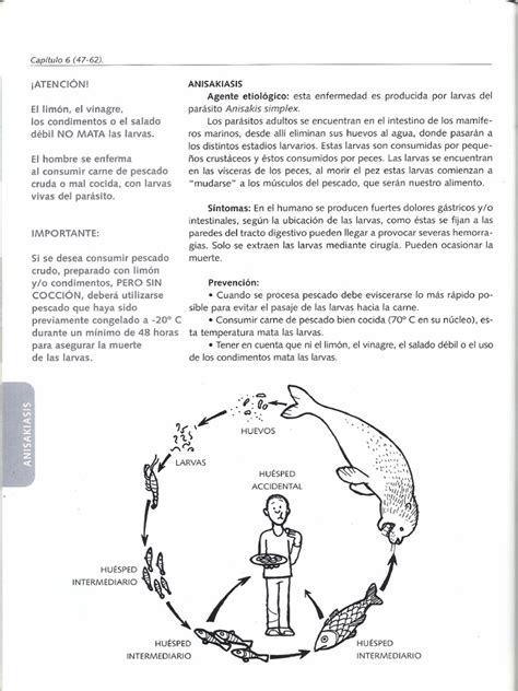 Anisakiasis | PDF