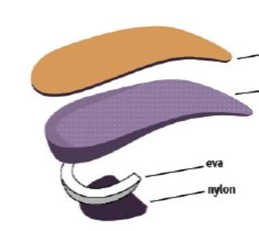 Foot Orthoses P1 Flashcards Quizlet