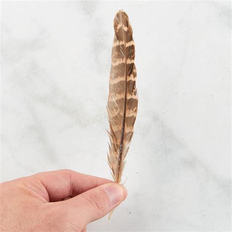 Natural Brown Feathers Feathers Basic Craft Supplies Craft