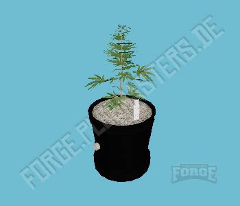 Pleb Masters Forge Gta V Object Sf Prop Sf Weed Small A