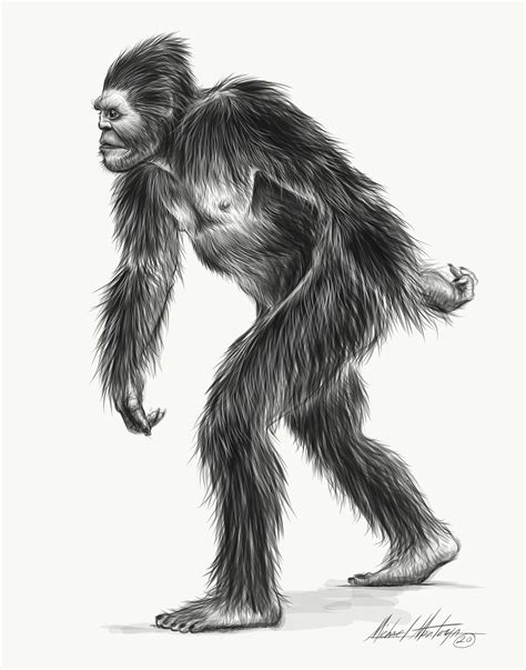 Bigfoot Sketch The Hairy Walker Etsy