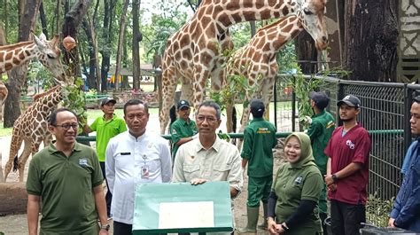 Taman Margasatwa Ragunan Lakukan Perawatan Ekstra Untuk Satwa Setelah