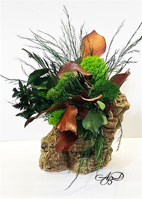 Live Pot Of Cork Ferns And Scandinavian Moss