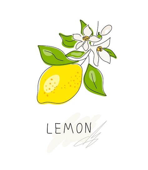 Premium Vector Whole Lemon Cut In Half Slice Clipping Path Isolated