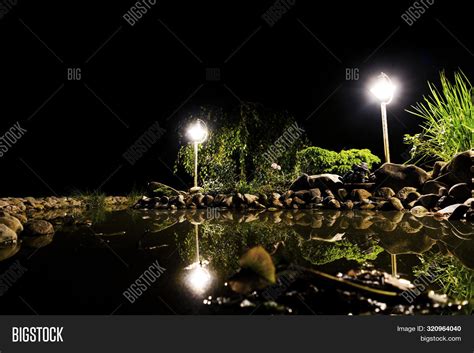 Garden Pond Night. Image & Photo (Free Trial) | Bigstock