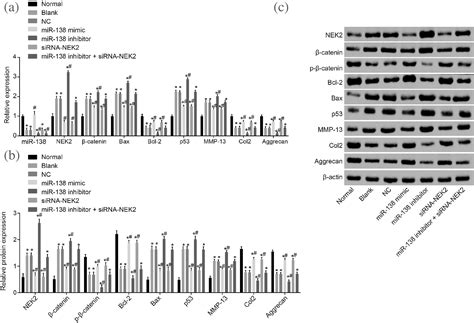 Erratum Iubmb Life Wiley Online Library