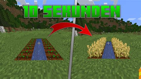 Minecraft Pflanzen Schneller Wachsen Lassen