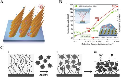 SERS biosensor based on peptide. A Schematic diagram of “virus traps ...