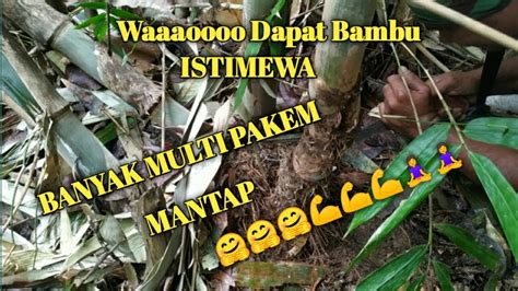 Pembolangan Bambu Dapat Bambu Istimewa Youtube