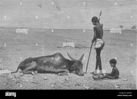 Madras famine of 1876 78 hi-res stock photography and images - Alamy