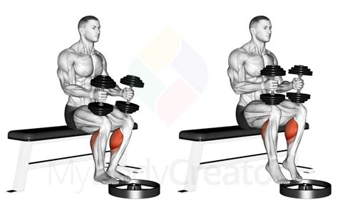 Seated Dumbbell Calf Raise