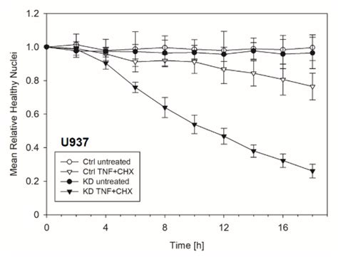 Enhanced Apoptosis Upon TNF Cycloheximide CHX Stimulation Of