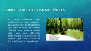 Grupo Asociaciones Ecosistema Licn Tico Ppt