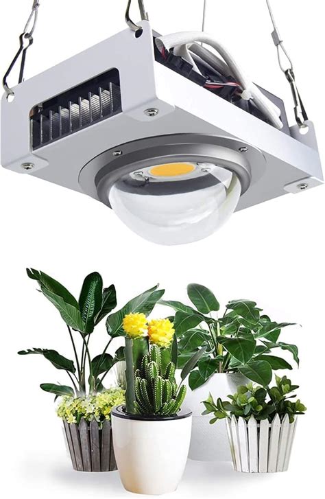 Lampe de culture LED lumière de croissance de plantes à spectre