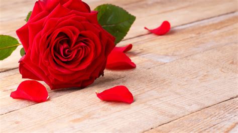 Rose Theme For Windows 10 And 11