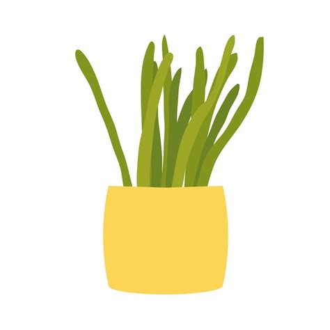 Premium Vector Potted Plant Flat Color Illustration