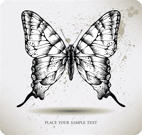 Butterfly Hand Drawing Vector Stock Vector Mur34 7613199