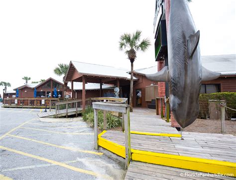 Sharkys Beachfront Restaurant In Panama City Beach Fl Review