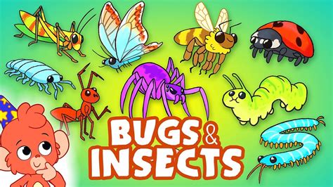 Learn Insects and Bugs for kids | Animals for kids | Club Baboo - YouTube