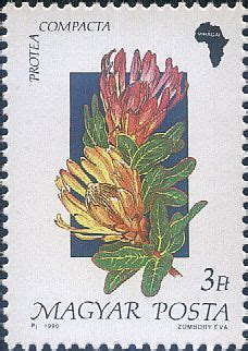 Abristamps Botanical Plant Stamps Znaczki Botanika Ro Liny Flora