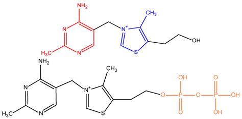 Structure of thiamine (vitamin B1 (upper)) and thiamine pyrophosphate... | Download Scientific ...